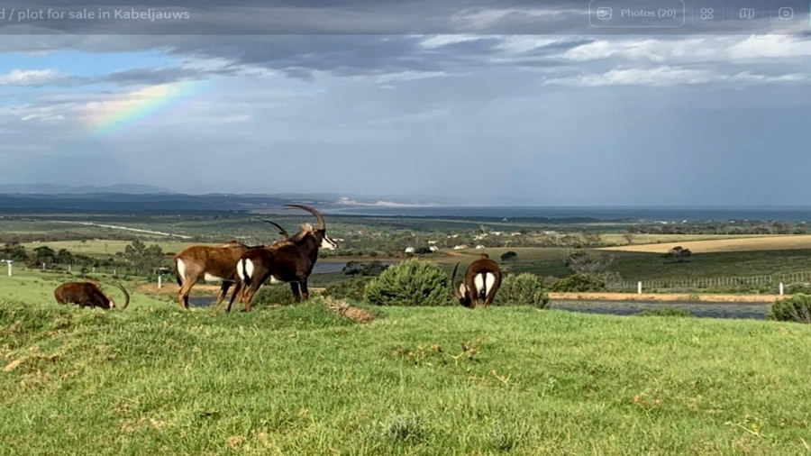 0 Bedroom Property for Sale in Kabeljauws Eastern Cape